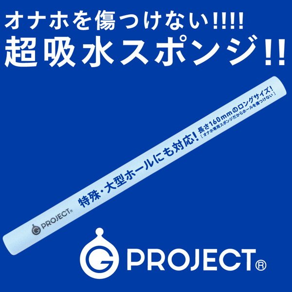 g-project 日本